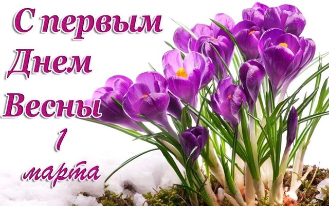 68af564c205387d073849cd317280dce