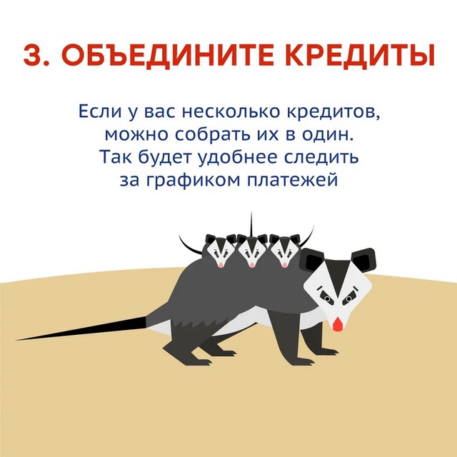 foto 2025 05 21 10 33 7