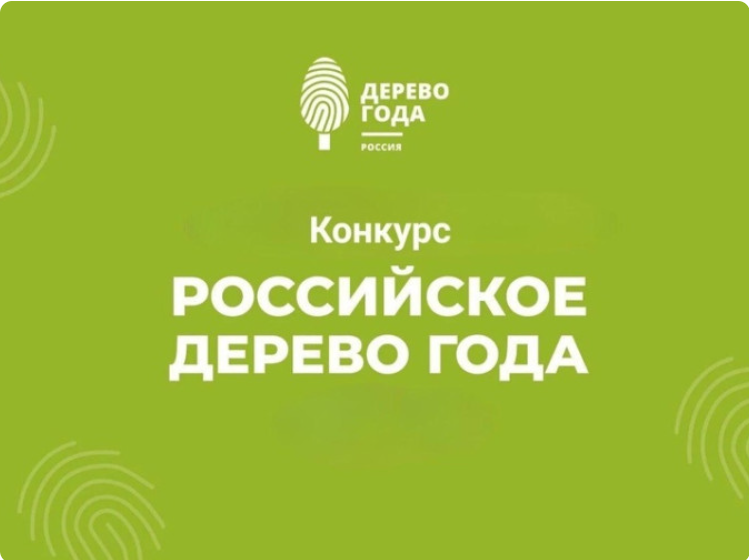 Российское дерево года - 2025